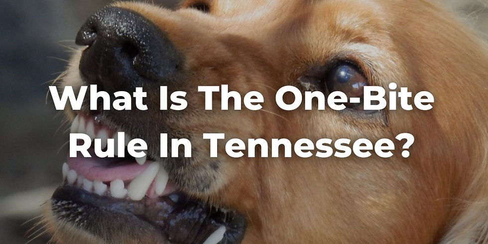 Bite Ruler What Is The One Bite Rule In Tennessee?