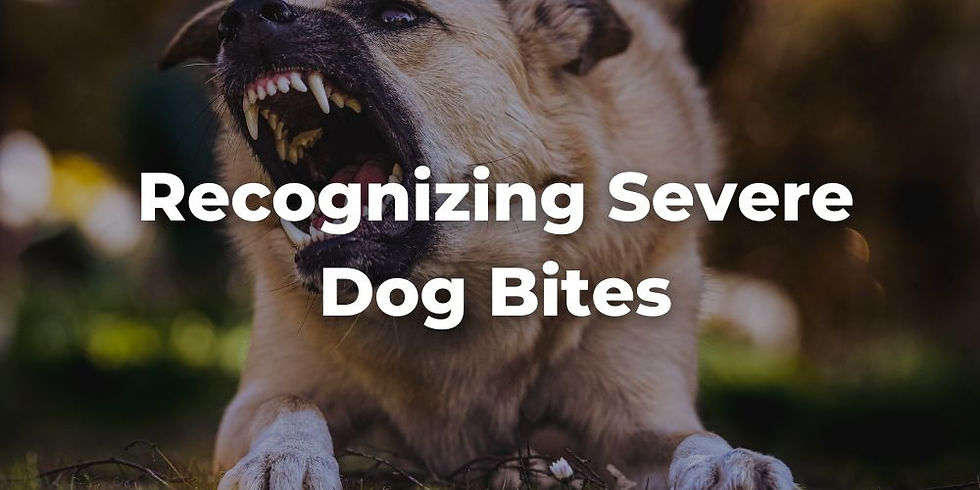 Recognizing Severe Dog Bites