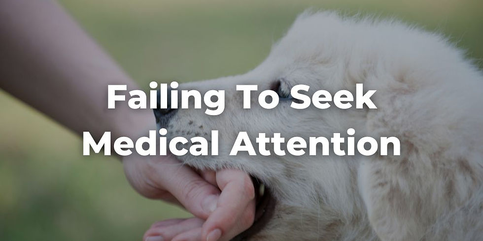 Failing to Seek Medical Attention After a Dog Bite Injury