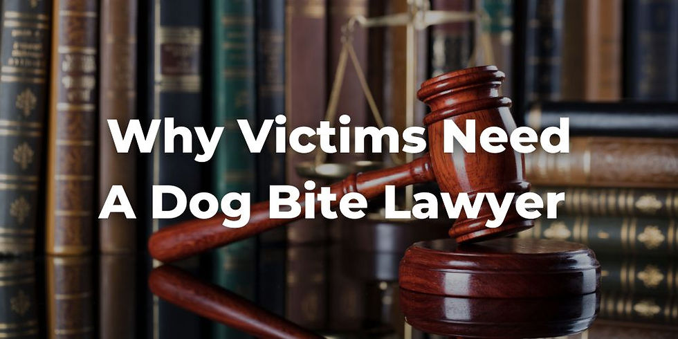 Why Victims Need a Dog Bite Lawyer