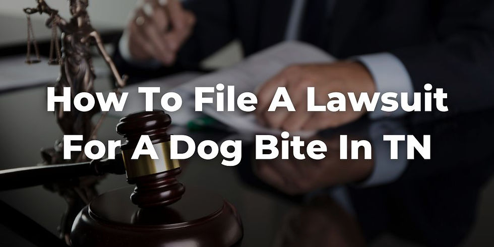 How to File a Lawsuit for a Dog Bite in TN