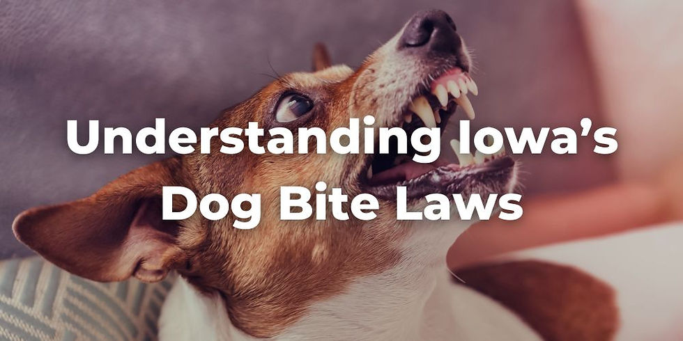 Understanding Iowa’s Dog Bite Law Following a Dog Attack