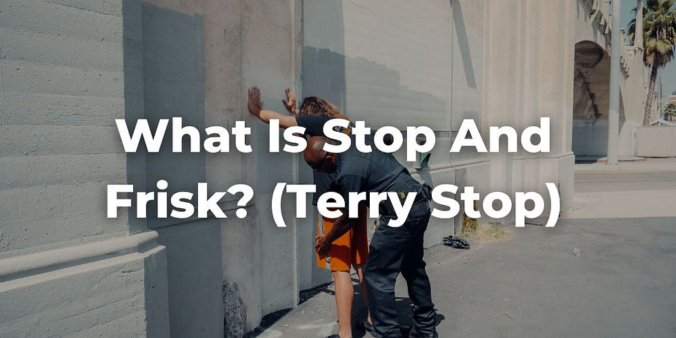 What Is Stop and Frisk? (Terry Stop)