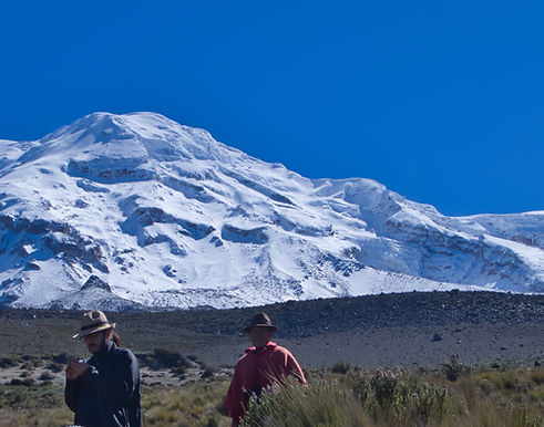 Paramo Gras und Chimborazo - Thomas Jung