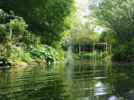 Wishing Well.i..jpeg