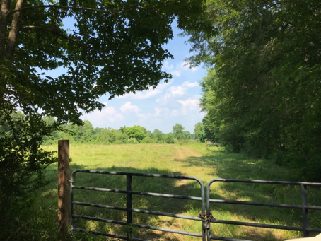 Four Solid Reasons to Invest in Land