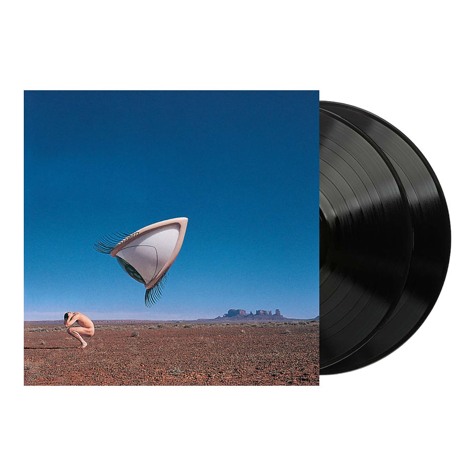 The Cranberries - Bury The Hatchet: The Complete Sessions (Black Vinyl 2LP)