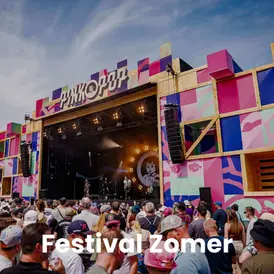 Shop Festival Zomer | vinyl platen | Platenzaak: Artistic Recordstore