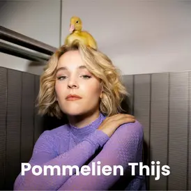 Shop Pommelien Thijs vinyl platen | Platenzaak: Artistic Recordstore