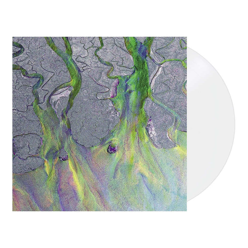 Alt-J - An Awesome Wave (Limited White Coloured LP)