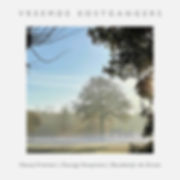 Albumcover van Vreemde Kostgangers - Mist (Doorzichtig Gekleurd Vinyl LP) (Limited Crystal Clear Coloured Vinyl LP)