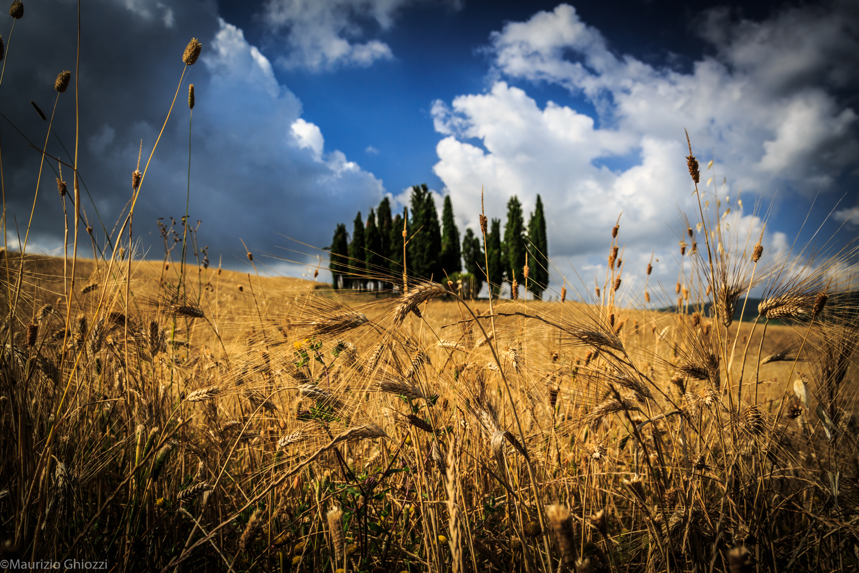 Val D'orcia 2014