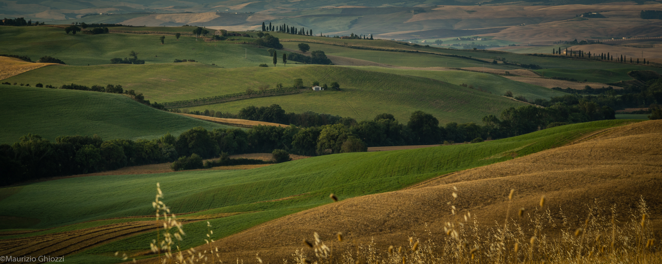 Val D'orcia 2014