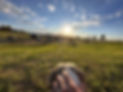 IMG_5686 2 Large.jpeg