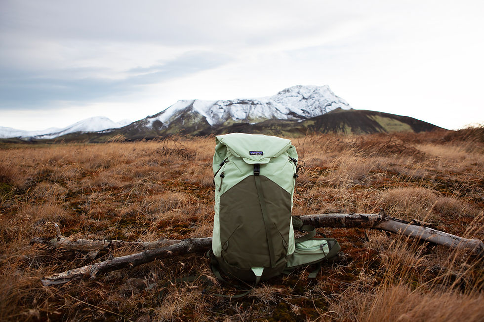 Patagonia Pack