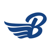 Logo de Bluesky Airmodels Aeromodelismo