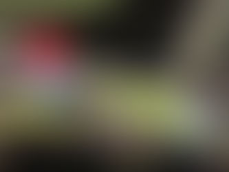 St. Johnstone (H) 20/12/23