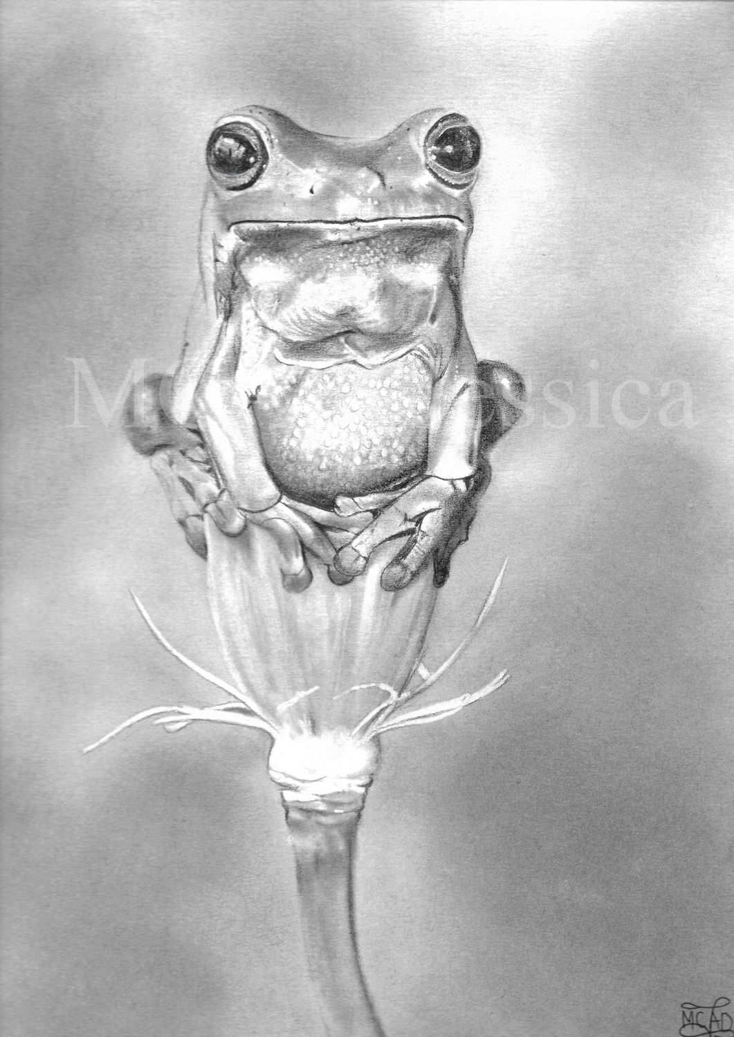 PORTRAIT | "Digne sur un nénuphar"