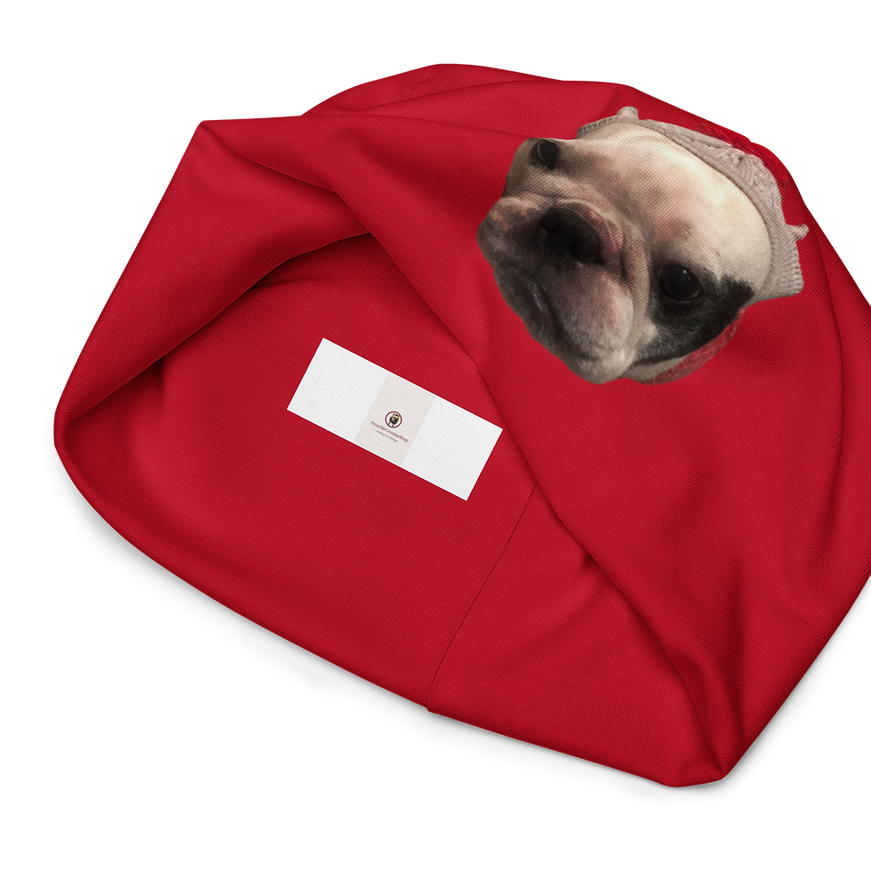 Thumbnail: French Bulldog winter beanie image