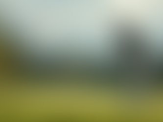 Injury Prevention Techniques for Golfer's Success