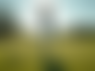 Master Your Golf Swing with Elliot B Golf