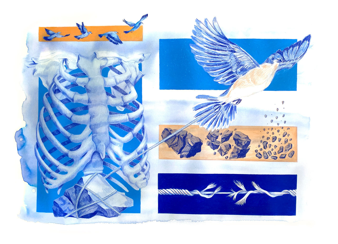 Placer y dolor / Quiero ser libre