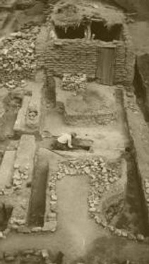 3D laser scanning of archeological sites