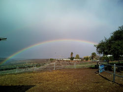 חוות הסוסים סלע תבור