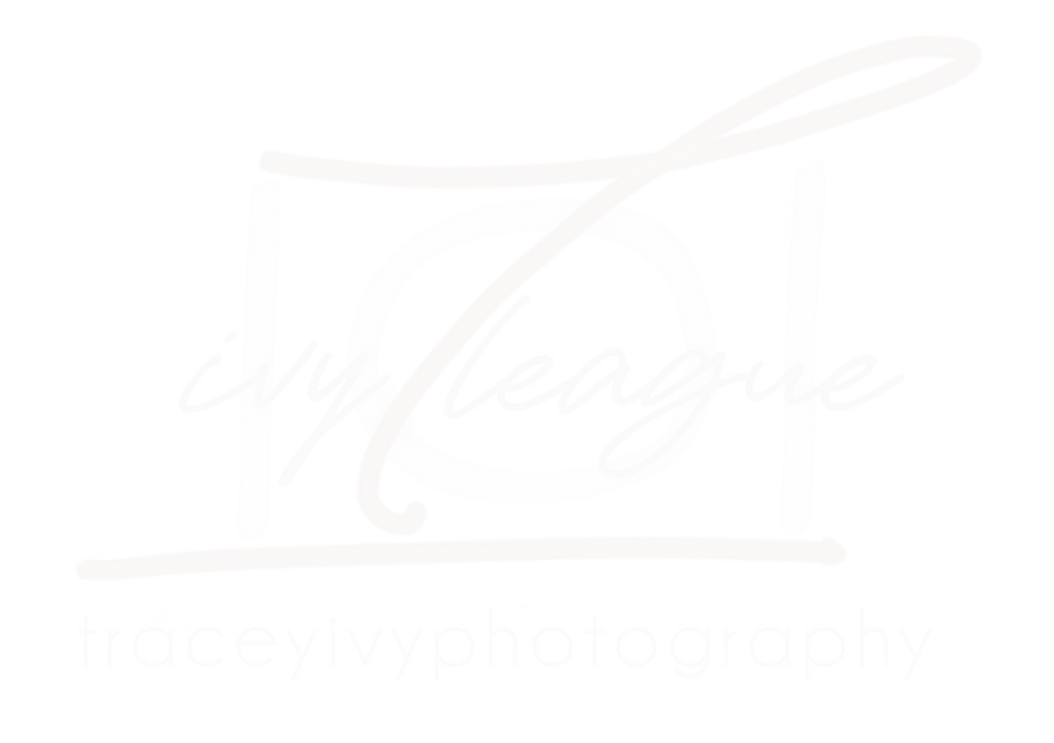 IVYlogo white.png