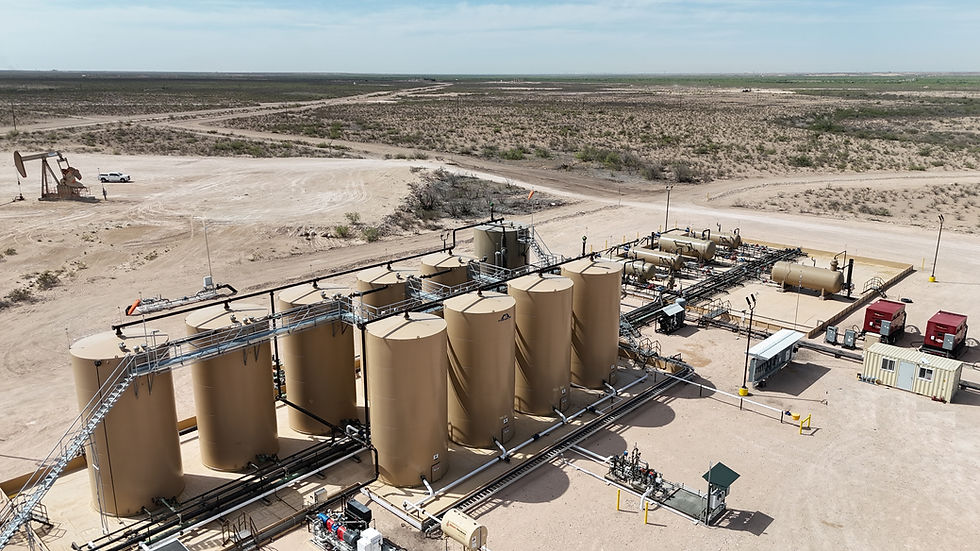 6- Admiral Buffalo South 5-21-25.JPG