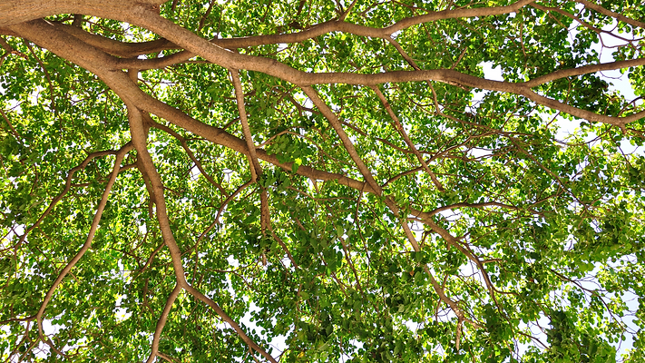 Untitled design (10).png