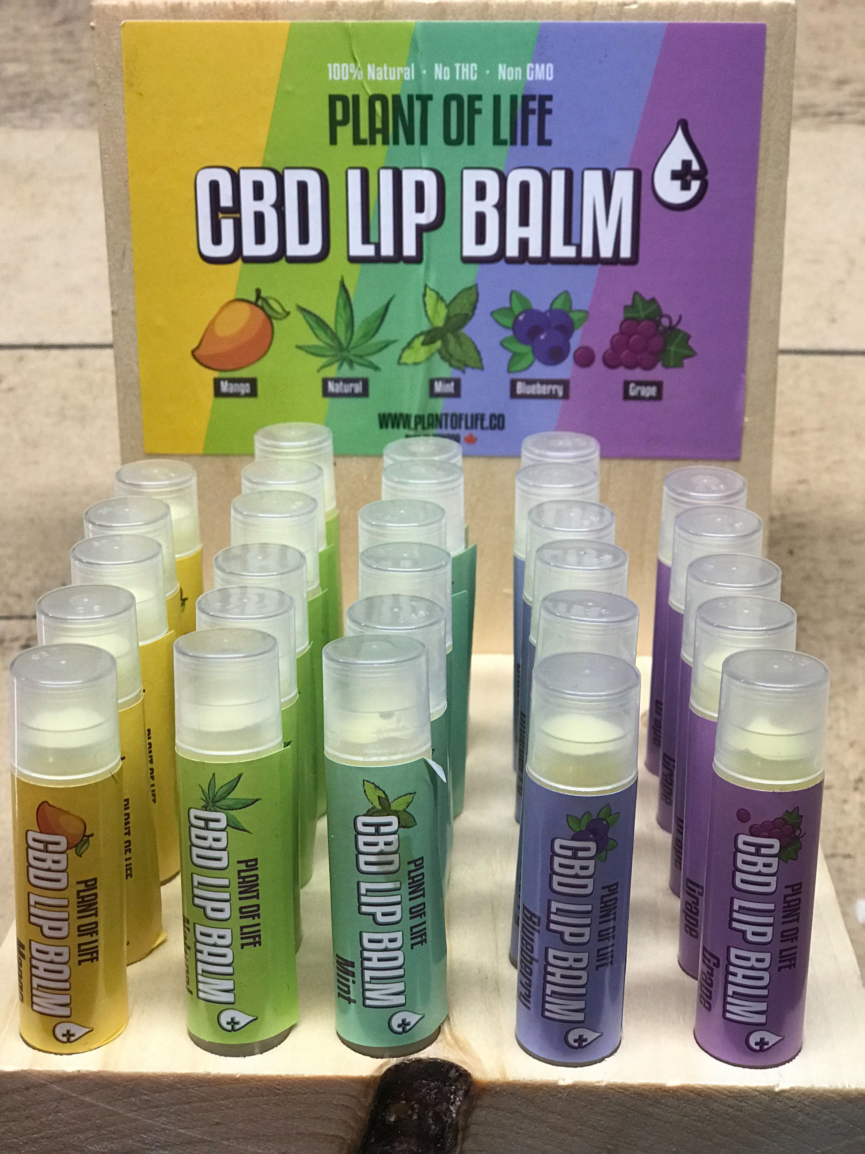 Plant Of Life - CBD.Lip Balm