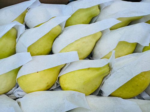 1 Guava (Pera) | Jw Superstore