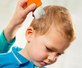 comment-identifier-les-poux-comment-savoir-si-mon-enfant-a-des-poux-.png.jpeg