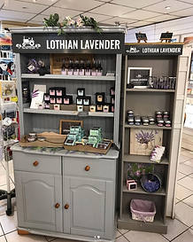 lothian lavender whynot north berwick