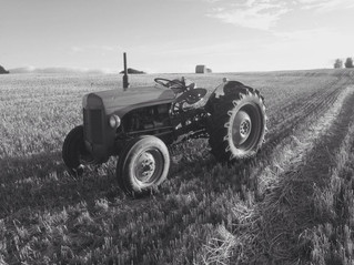 Spotlight on Lothian Lavender's Vintage Tractor