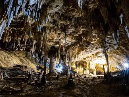9 Treasure Hunting Adventure Movies You Must See