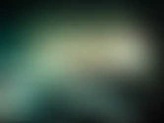 What Is Film Festival International: New Indie Cinema Paths