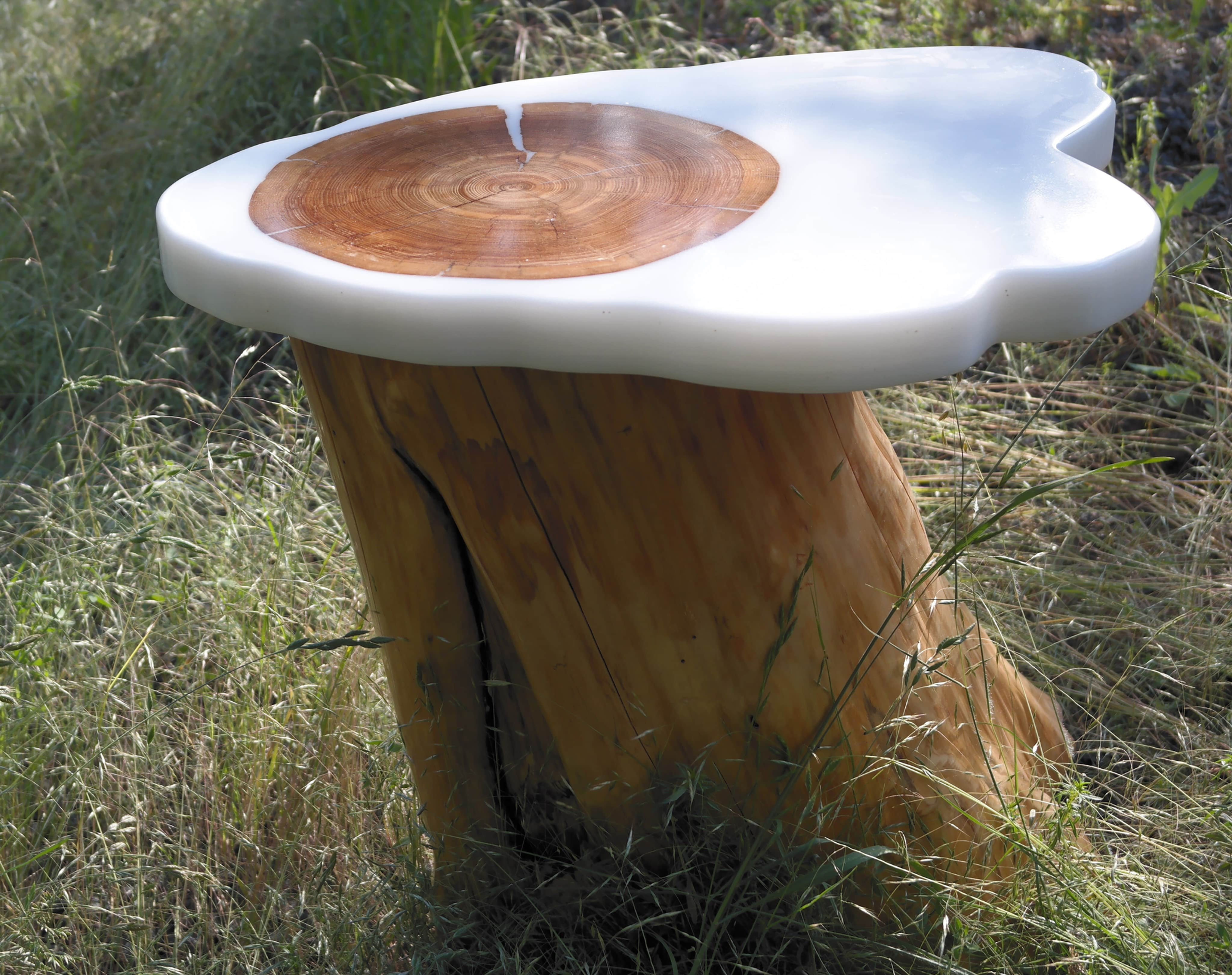 Cedar Stump with White Epoxy Top