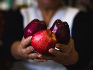 Marathon Training: Week 11