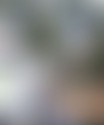 Steve Gurney & Jackie Clarke win their category of the Queenstown Birdman Competition