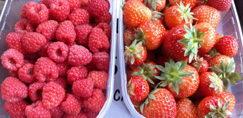 raspberries-strawberries.jpg