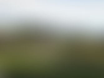 BUILDING A CURVED BLOCK WALL