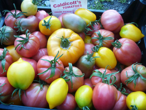 fruit_9_tomatoes.JPG