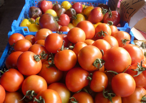 fruit_14_red_tomatoes.JPG