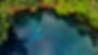 woman-floating-in-tree-fern-pool.jpg