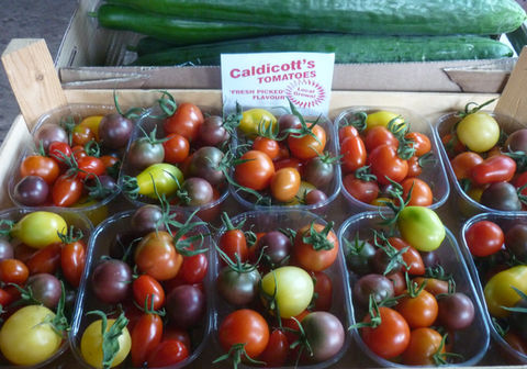 fruit_4_specialty_tomatoes.JPG