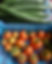 Cucumbers and tomatoes at Caldicott's Nursery