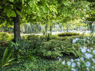 Top New Zealand landscape designers showcase their home work