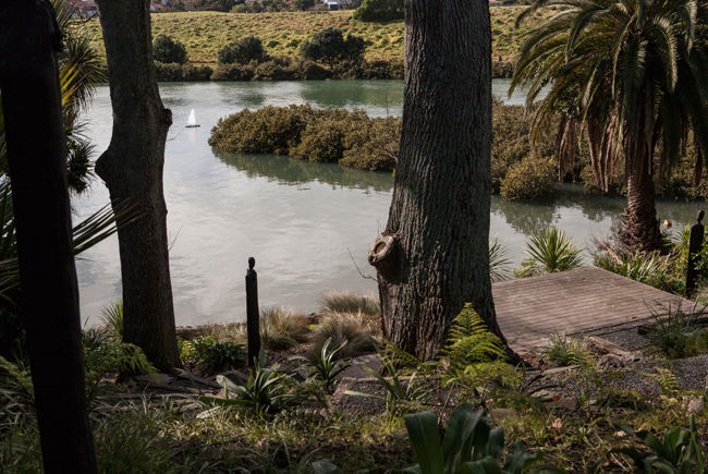 2015 Garden 10 - Pt Chevalier